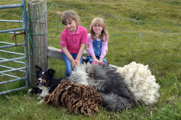Jan's nieces Keiva and Arianna with Sally the dog and some coloured Shetland fleeces